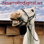 desarrollodigital.ws